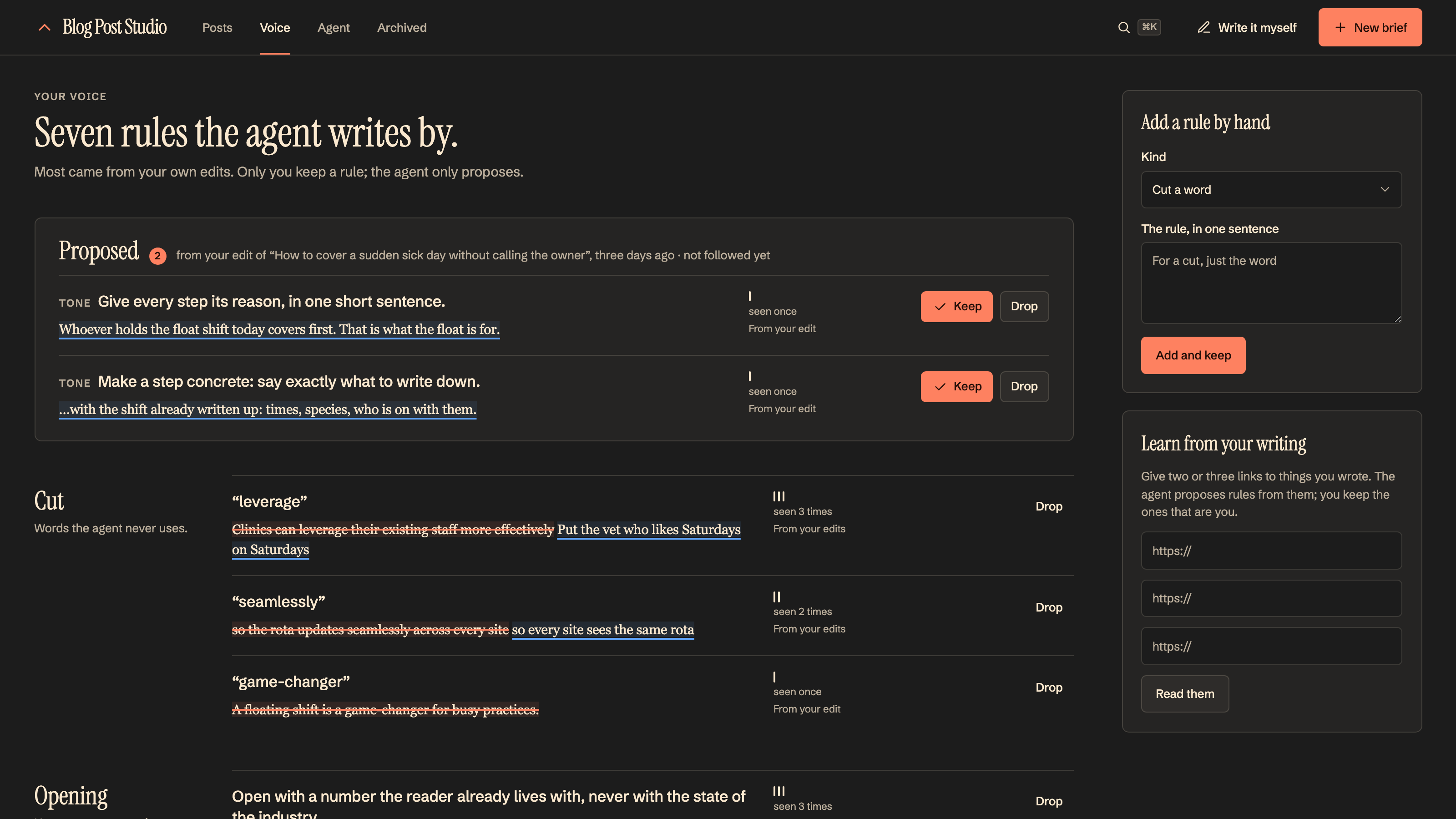 Blog Post Studio: Your voice, from your own edits. Example data.